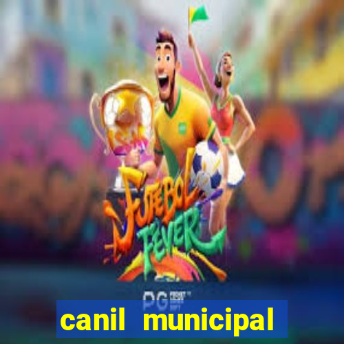 canil municipal porto alegre